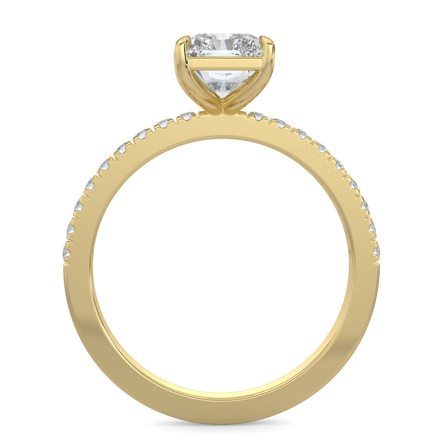 Natalie-1.0 Carats Radiant Moissanite Pave Setting Engagement Ring